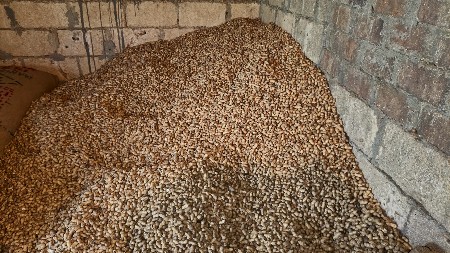 k 4૧ માડવી વેચવાની