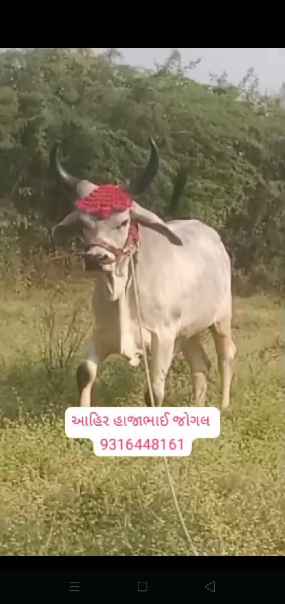 थंबनेल 2