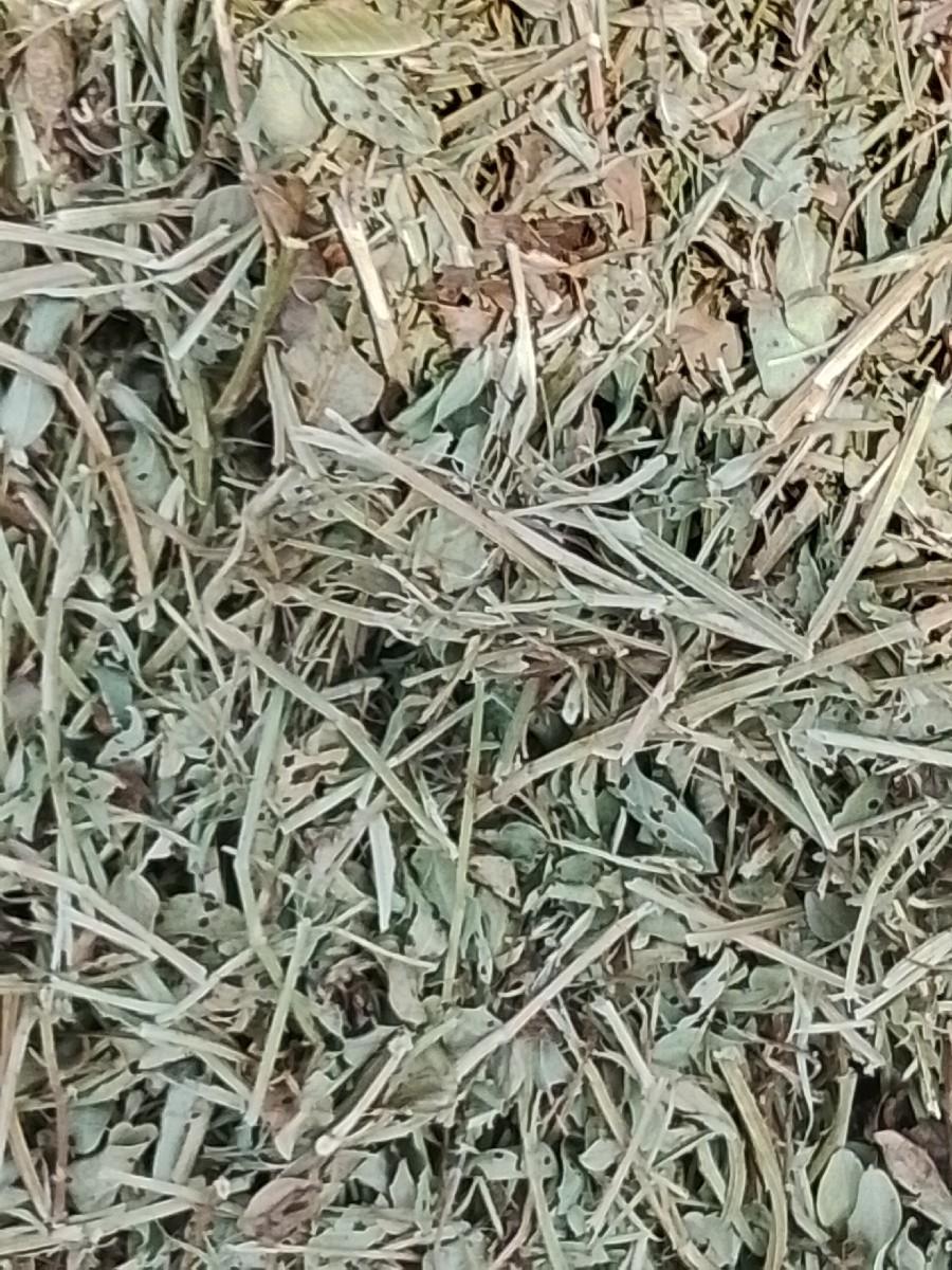 દેચીચાણીયુખાતરવેચવાનુછેકીમત.એક.લાખ