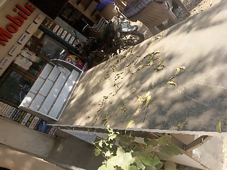 थंबनेल 3