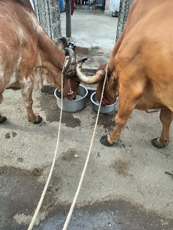 थंबनेल 2