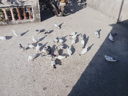 थंबनेल 3