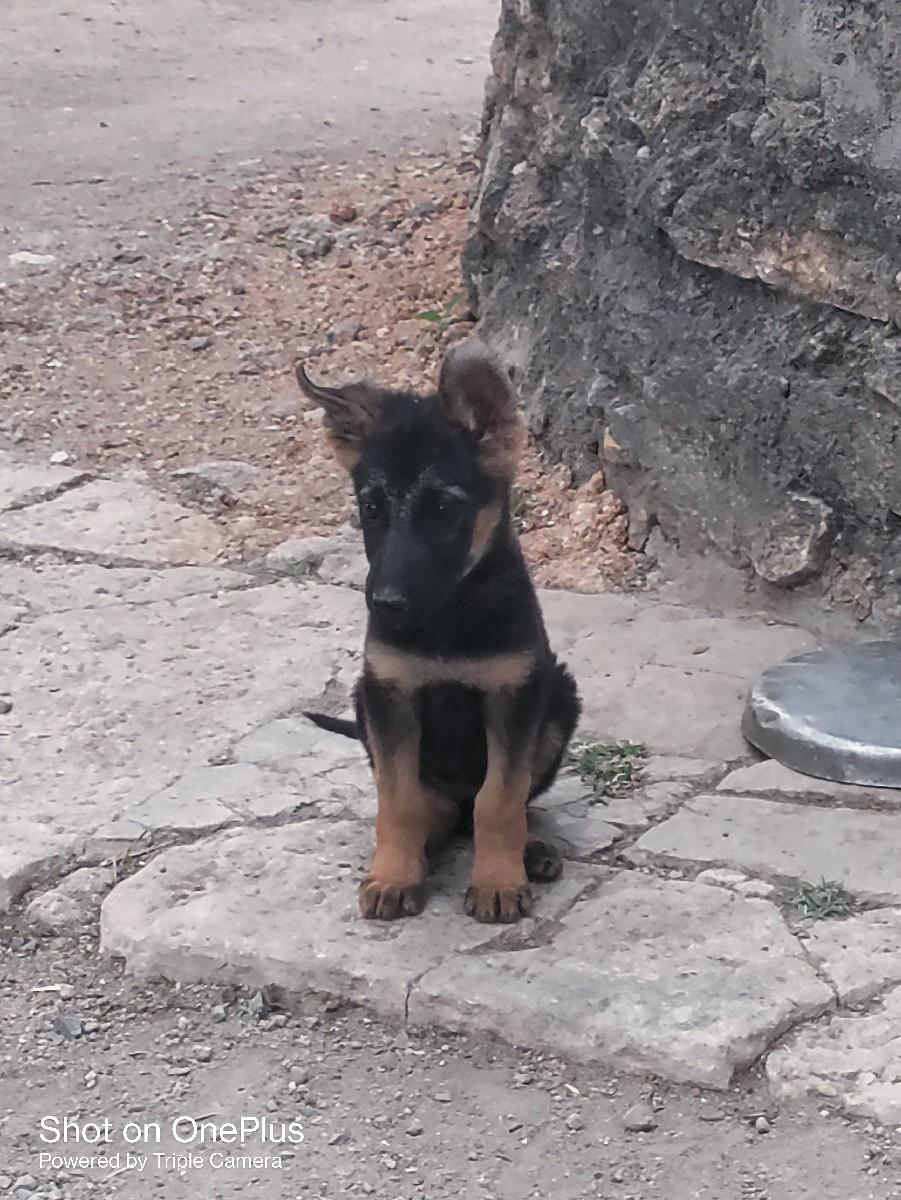 થંબનેલ 3