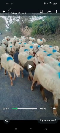 થંબનેલ 3