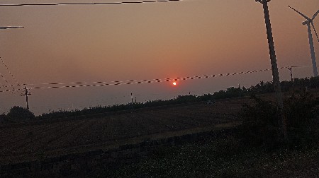 મેટીંગ માટે લેબરા ડોગ છે