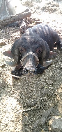 થંબનેલ 3