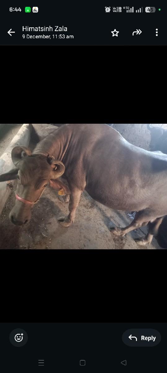 थंबनेल 2