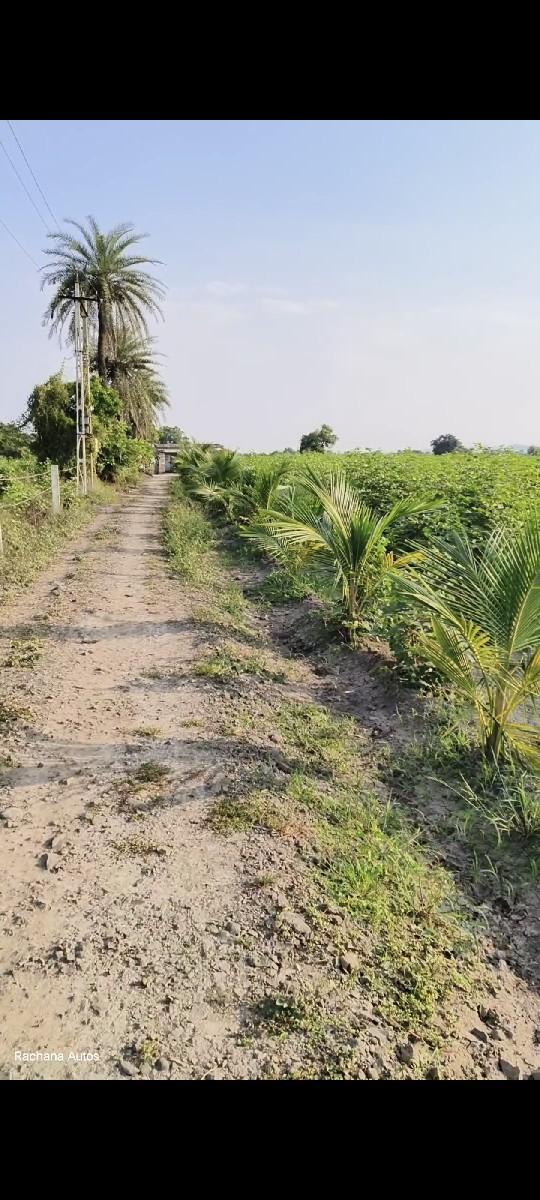 थंबनेल 5