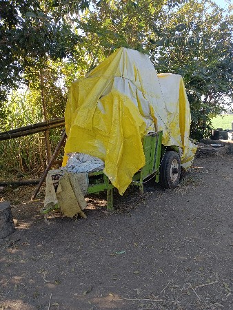 પરમ આલ્ફા મોડલ