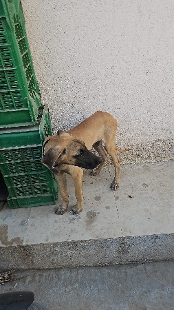 थंबनेल 3