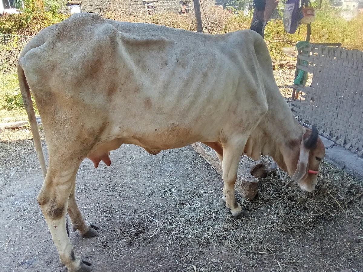 थंबनेल 2