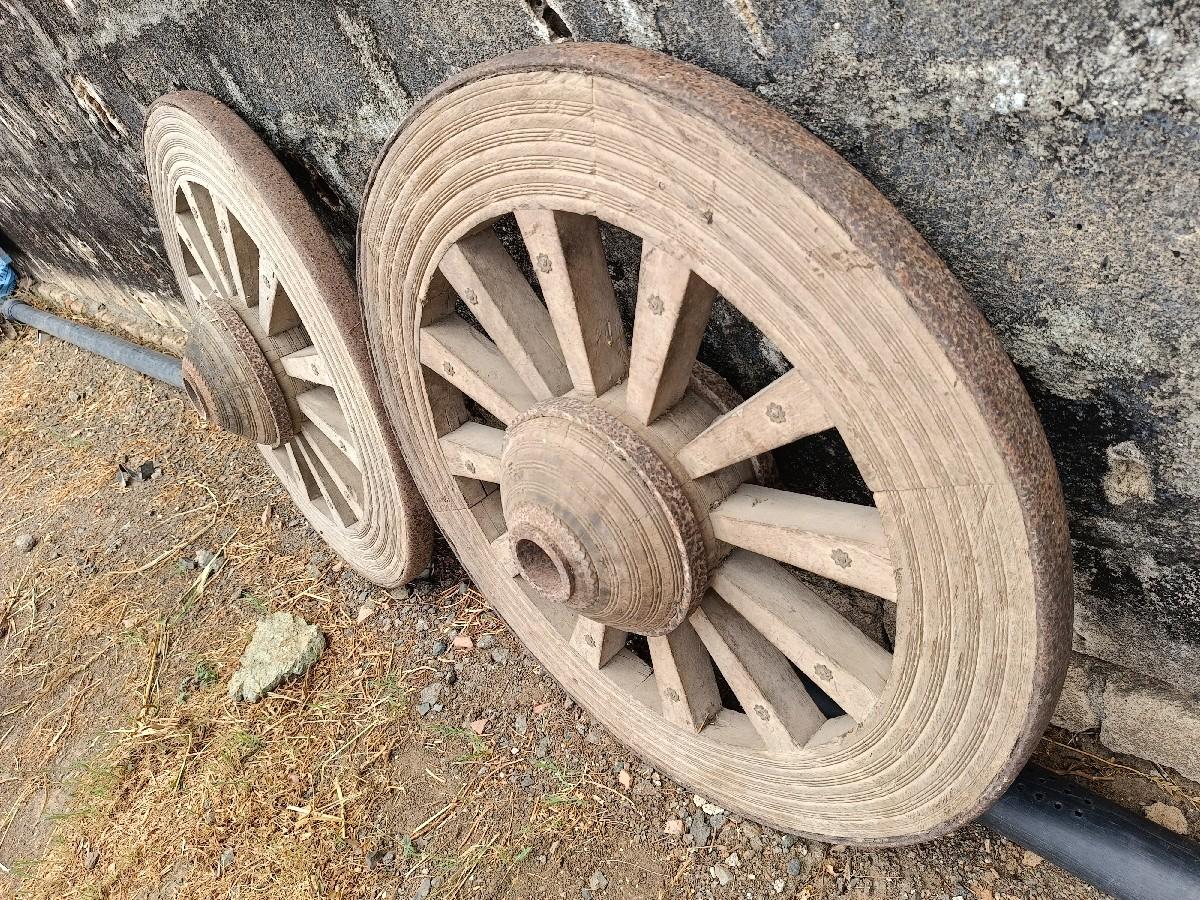 थंबनेल 3