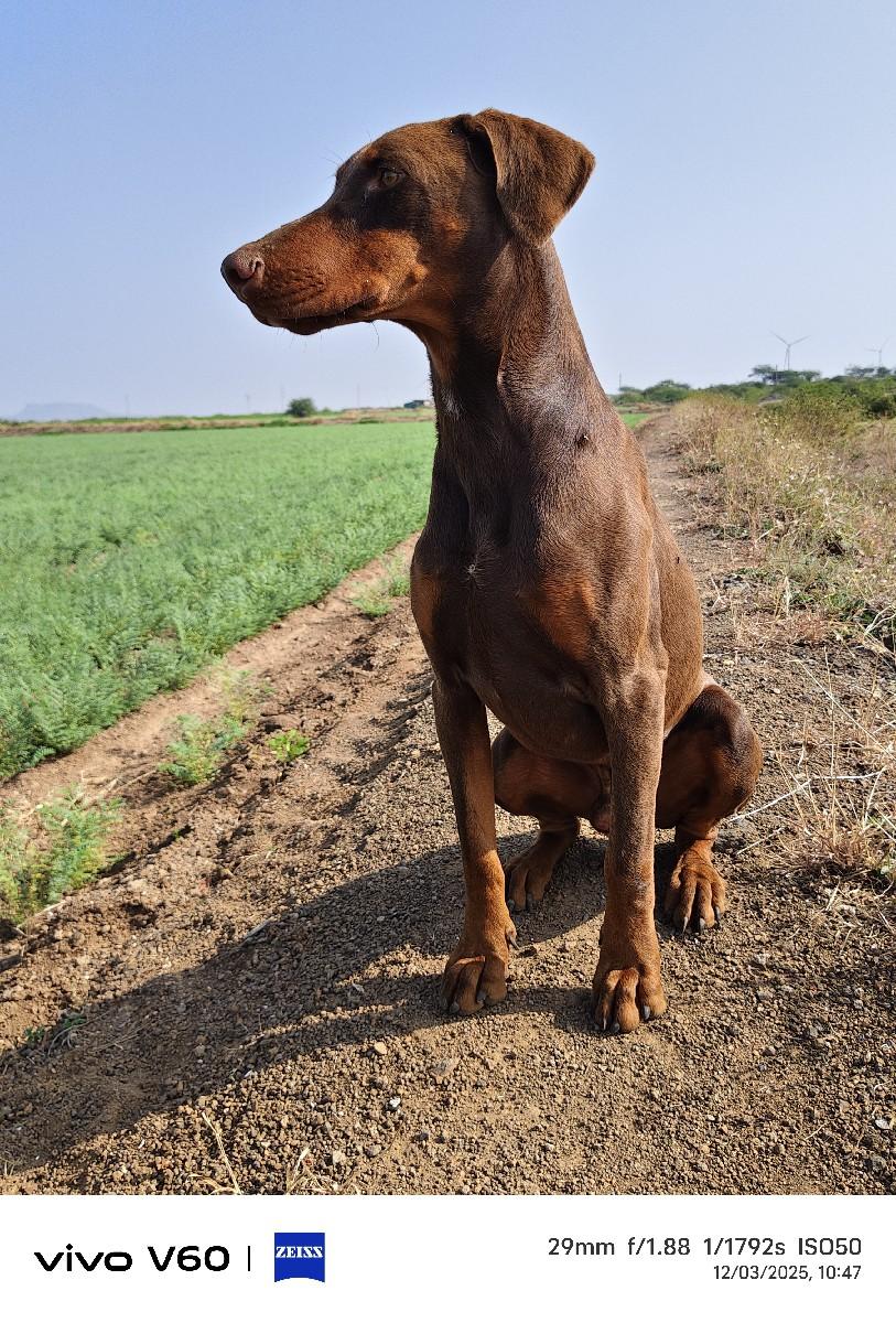 મીટીંગ માટે