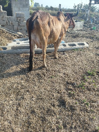 थंबनेल 3