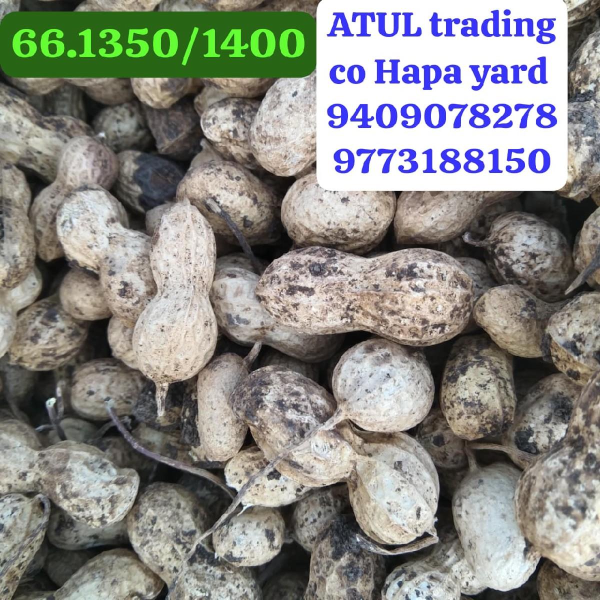 66 number માંડવો