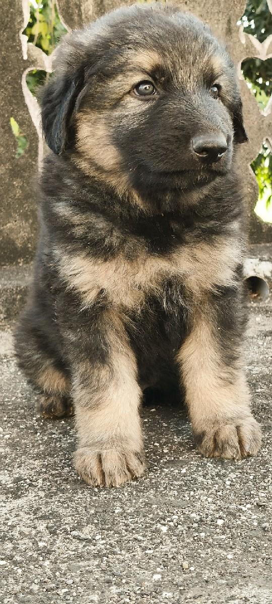 थंबनेल 3