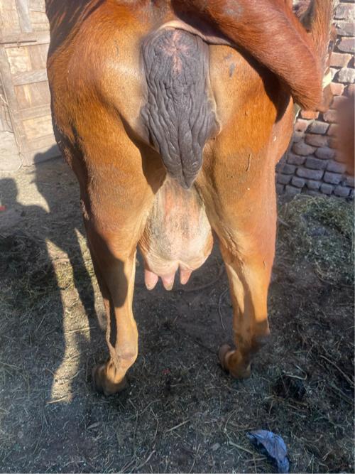 थंबनेल 3