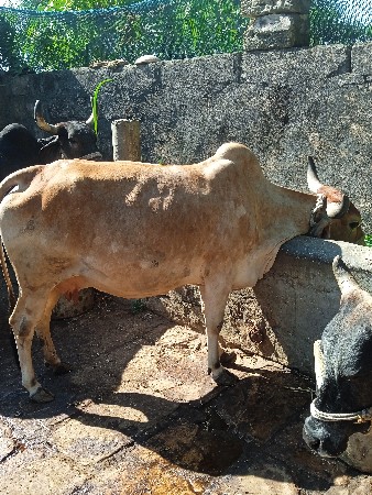 થંબનેલ 3