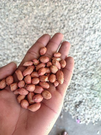 થંબનેલ 3