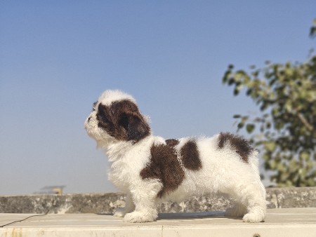 થંબનેલ 3