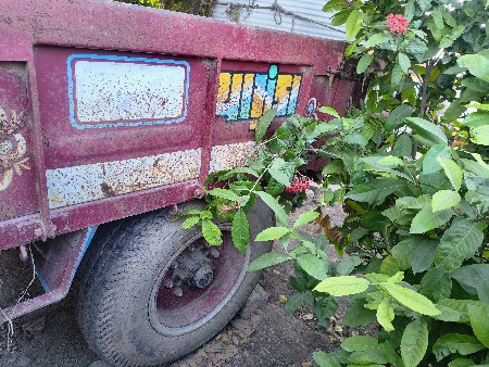 થંબનેલ 3