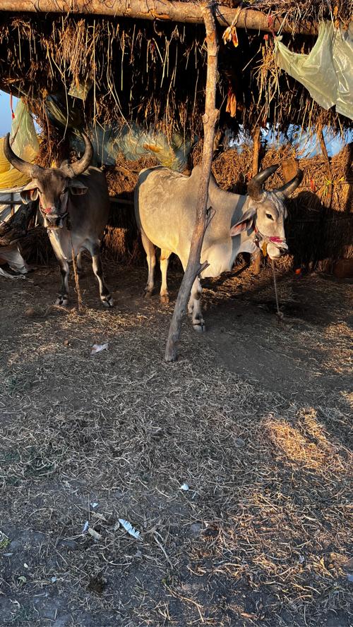 थंबनेल 3