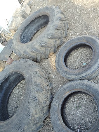 थंबनेल 5