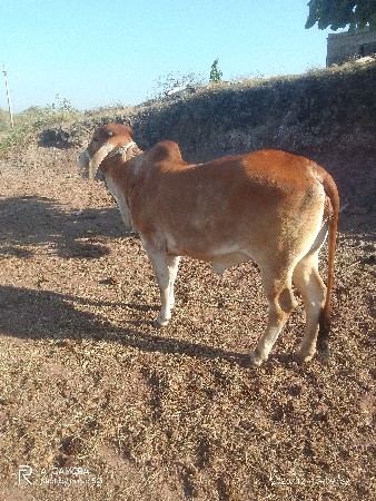 थंबनेल 2