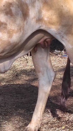 થંબનેલ 2