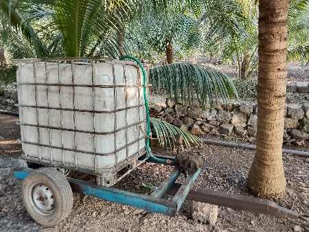 થંબનેલ 2