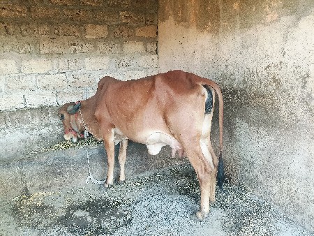 थंबनेल 2