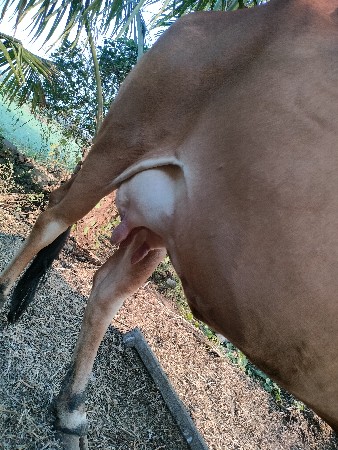 થંબનેલ 3