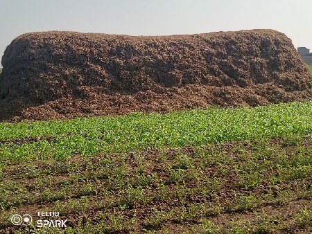 13 વીધા નો ભુકો વેચવાનો છે
