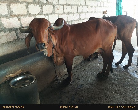 થંબનેલ 3