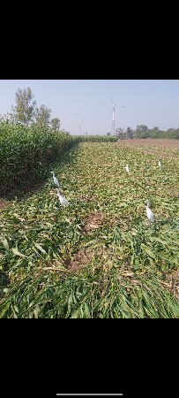 વેચવાની છે