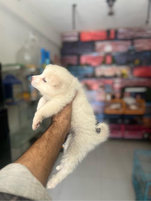 थंबनेल 2