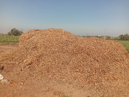 મગફળી નો ભૂકો વેચવા નો છો