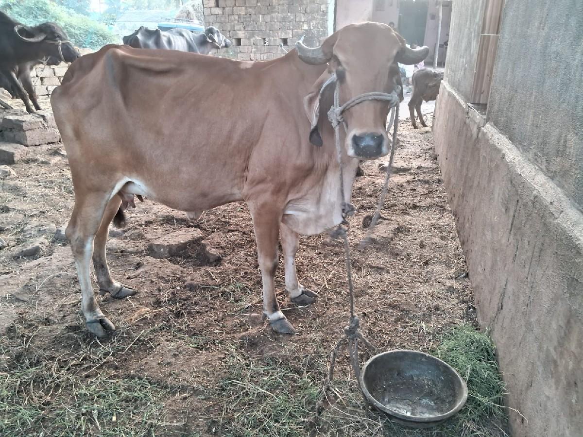 थंबनेल 2