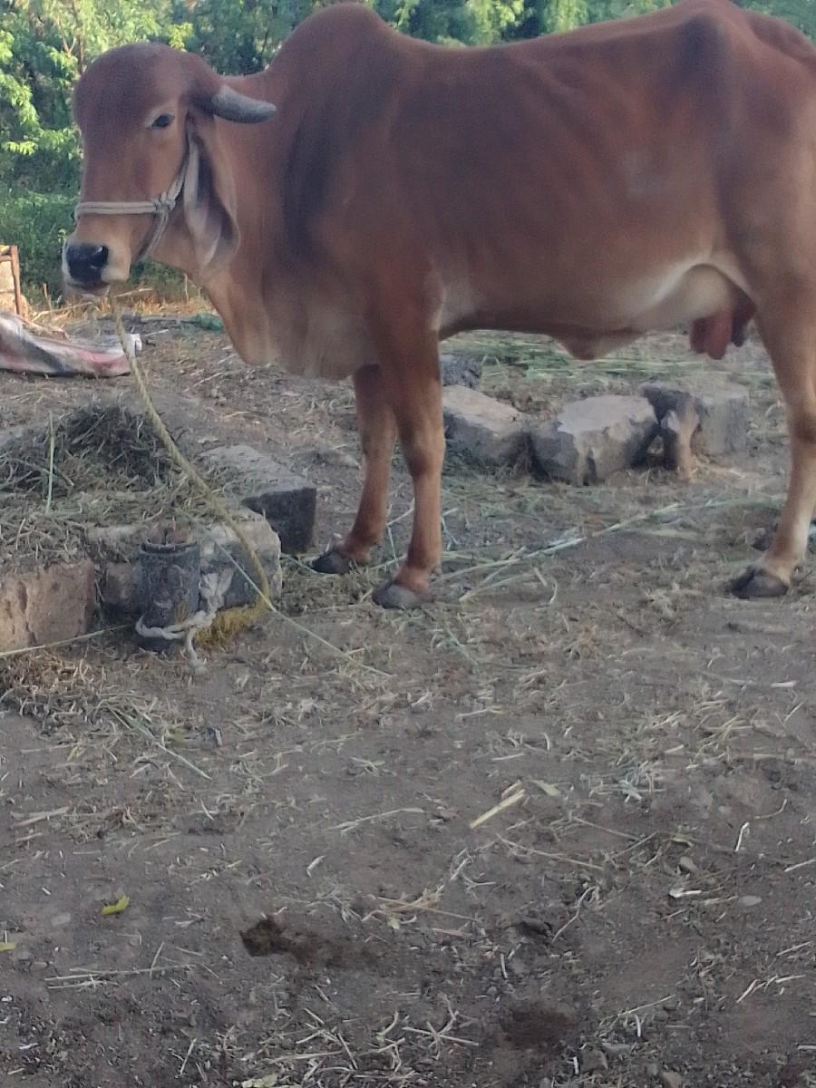 थंबनेल 2