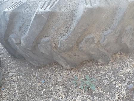 थंबनेल 2