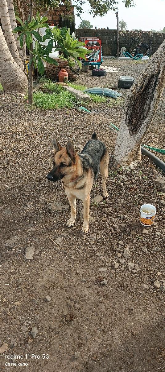 થંબનેલ 3