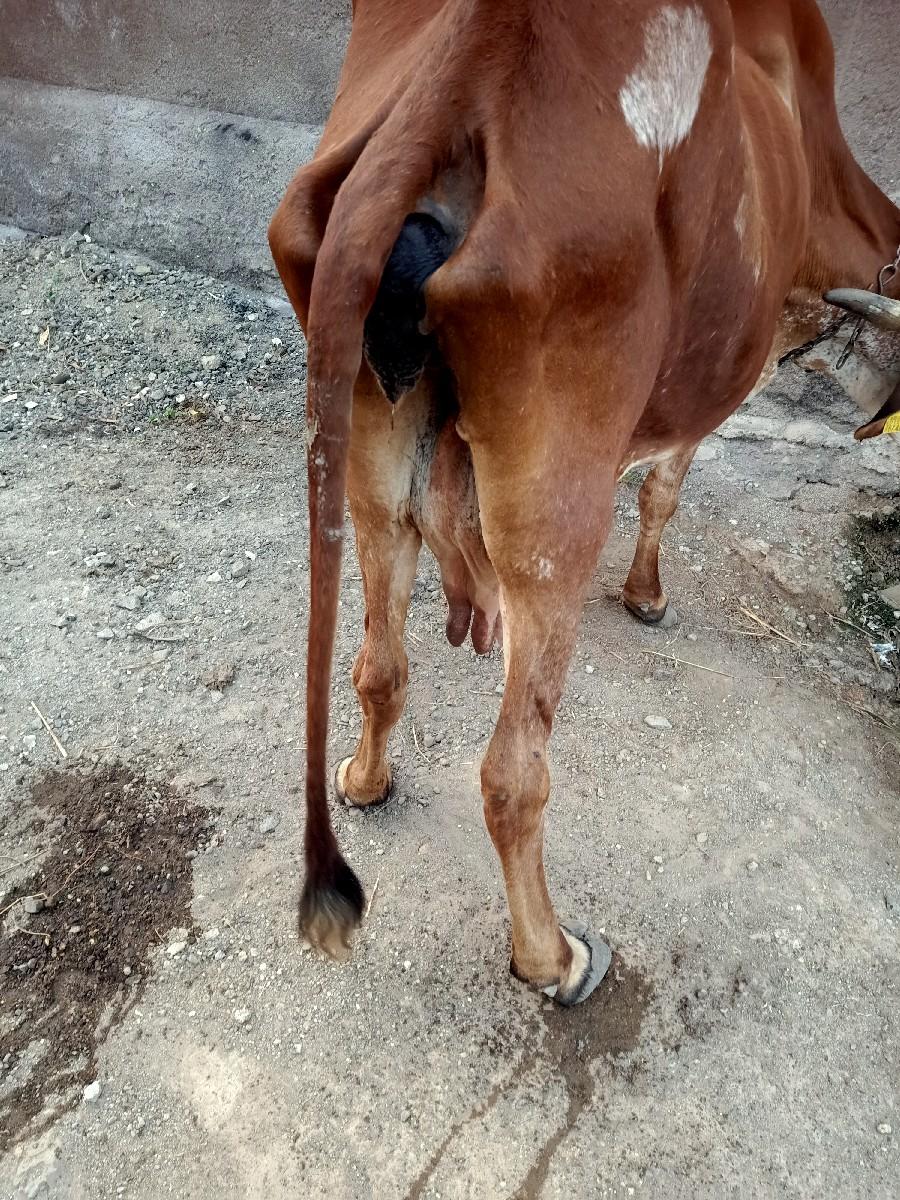 થંબનેલ 3