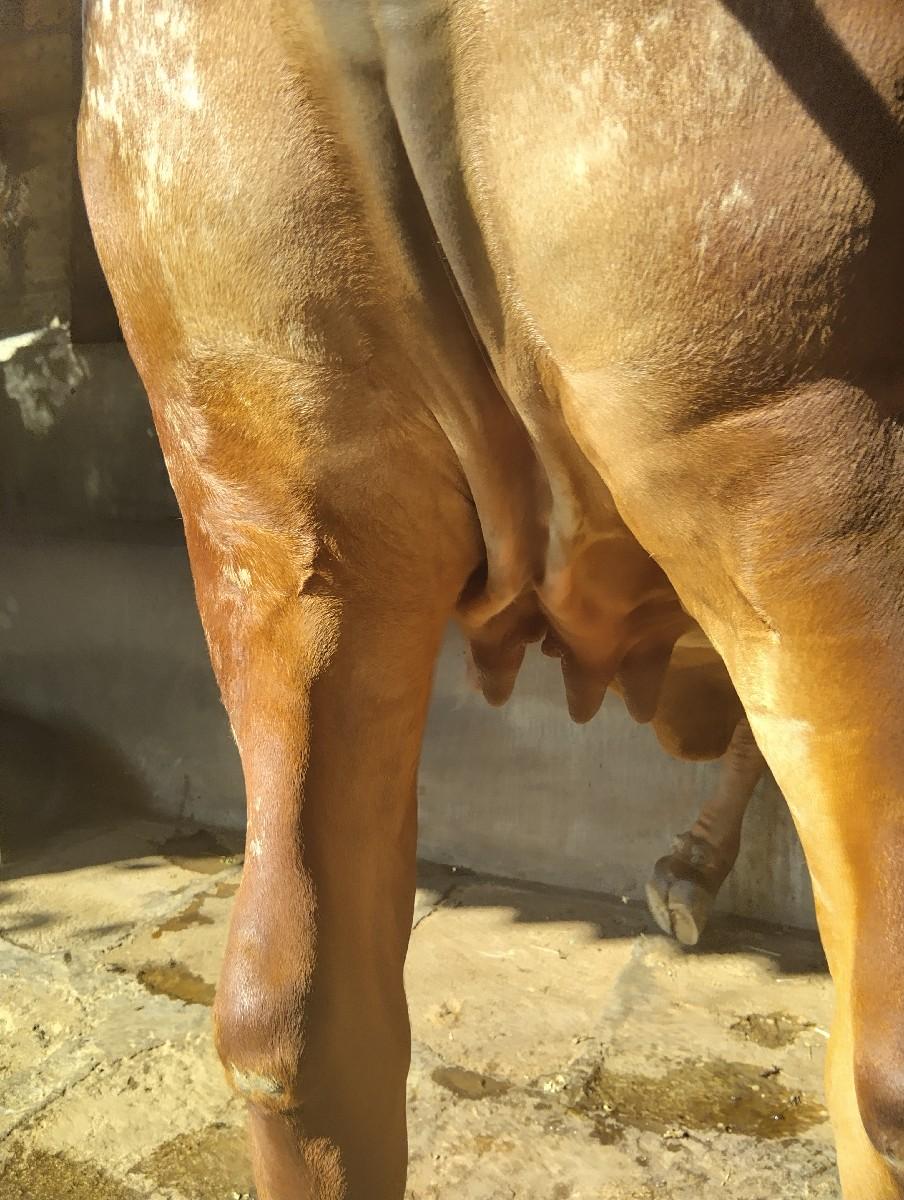 थंबनेल 2