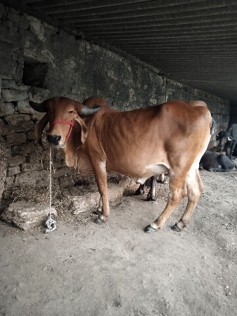 थंबनेल 2