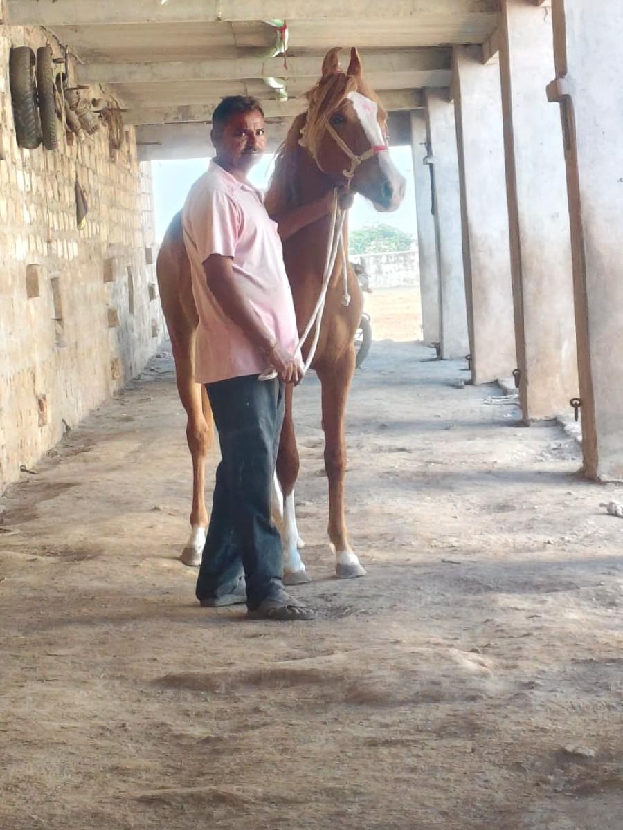 થંબનેલ 2