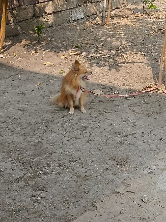 મીટીગ.માટે.છે.વેસવાનો.નથી