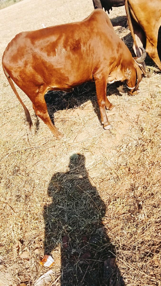 થંબનેલ 3