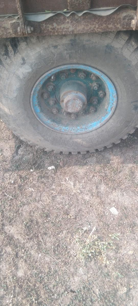 થંબનેલ 3