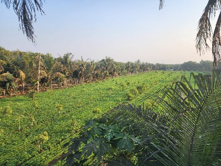 થંબનેલ 3