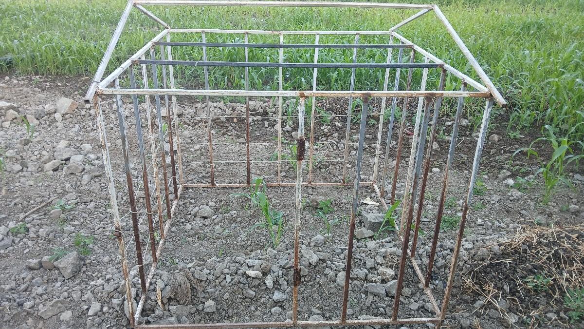 થંબનેલ 2